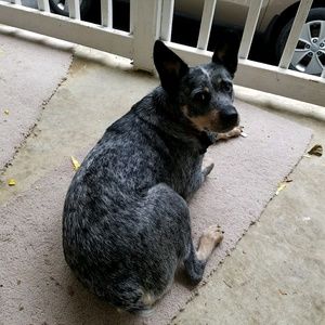 Meet your Posher, Liz